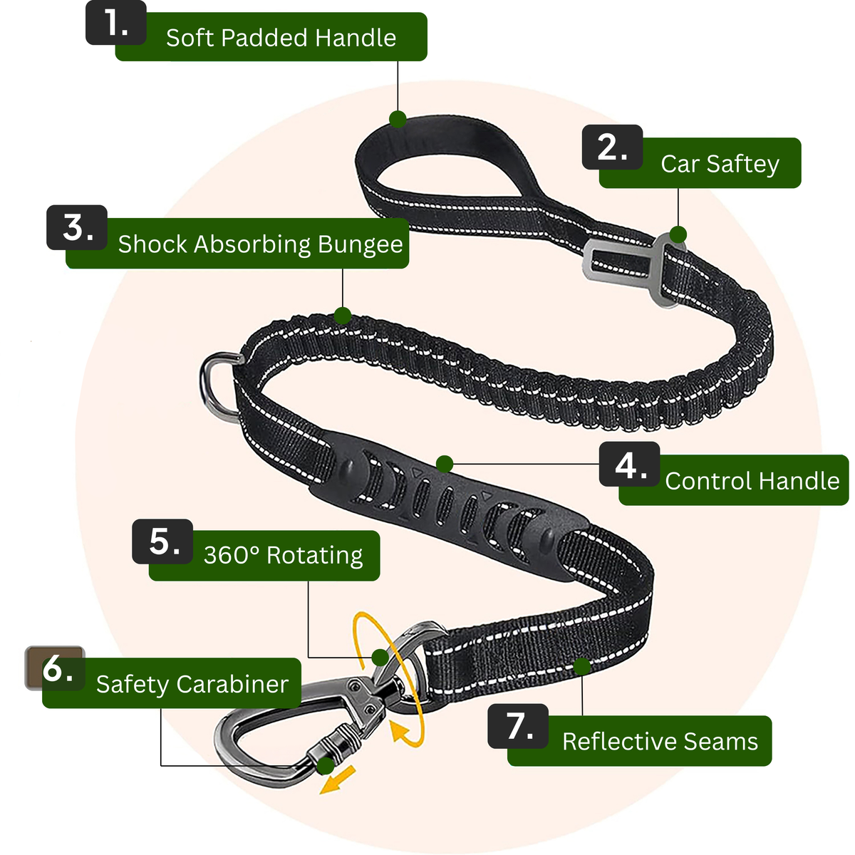 Bungee Leash