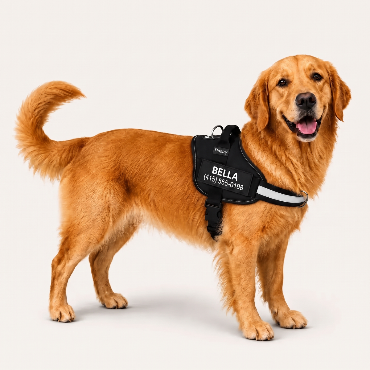 Floofzy No Pull Harness